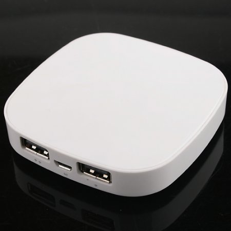 Rii P03 4000mAh Dual USB Mobile Power Bank for Smartphones