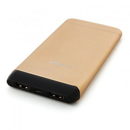 Cager S15 5500mAh Ultrathin Double USB Power Bank for Smartphones Tablet PC Golden