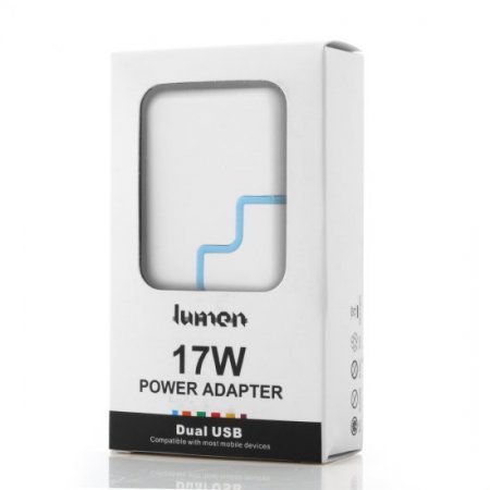 Dual USB 3.1A 17W FAST AC Travel Wall Charger for Apple iPad Air Blue