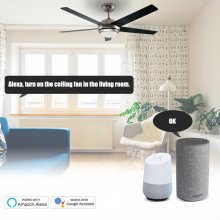 WiFi Smart Ceiling Fan Light Wall Switch,Works With Tmall Genie/Alexa/GoogleHome,Time Setting,Voice & Remote Control(2-pack)