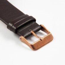 Zeblaze Rover Smart Watch Toughened OGS Panel MTK2501 BT4.0 Premium Leather Strap Gold